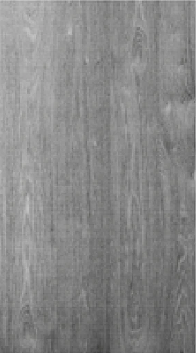 Rezana Slab with vertical grain door selector image